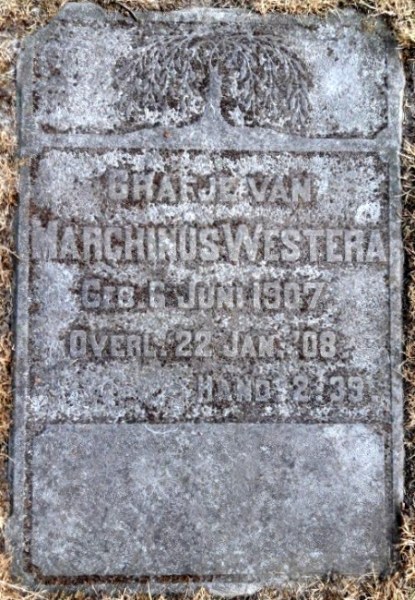 Klik voor foto in apart venster 144_graf_marchinus_westera.jpg