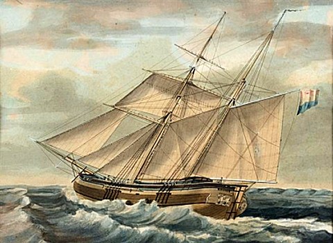 Schoenerkof